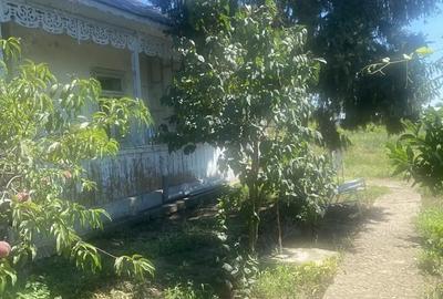 Casă cu 4 camere în Însurăței - 2