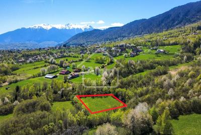 Teren Construcții intravilan de 2600 mp, în Bran - 1