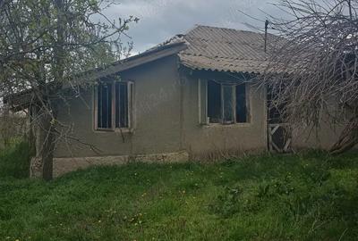 Casă cu 2 camere cu Teren 1400 Mp în Axintele - 3