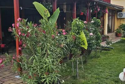 Casa de vanzare sau schinb cu apartament 2 camre - 7