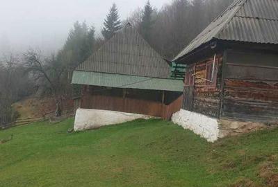 Teren de 60000 mp, în Vadu Moților - 2