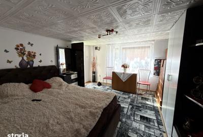 Casă cu 5 camere cu Teren 5000 Mp în Mihai Eminescu - 4