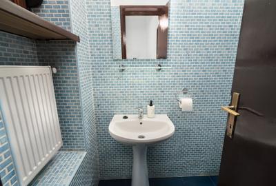 VILA INTERBELICA DE 550 MP-FOISORUL DE FOC - 11