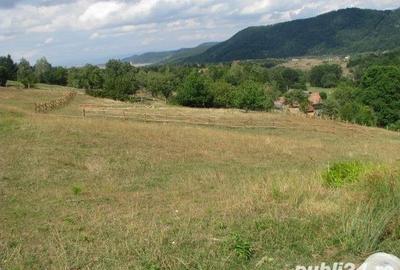Teren intravilan platou