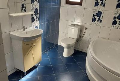 Casă cu Teren 350 Mp în Dumbrăvița - 7