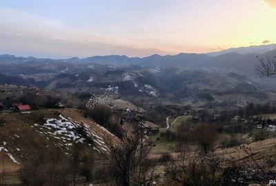 Teren în Măgura - 4