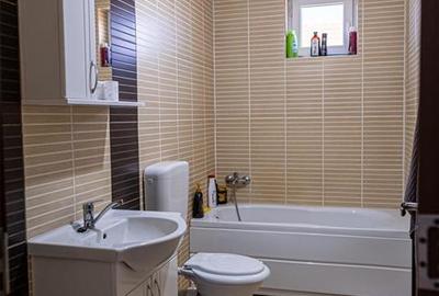 Casă cu 3 camere cu Teren 455 Mp în Biharia - 7