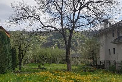 Casă cu 3 camere cu Teren 1477 Mp în Central