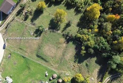 Teren de 3500 mp, în Cacica - 10