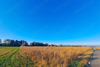 Teren de 7526 mp, în Băcia - 4