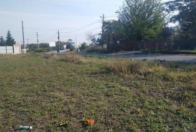 Teren în Dascălu - 1