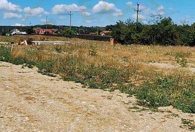 Teren 531 mp intravilan Smeura Stoenari la 3km de Pitesti - 3