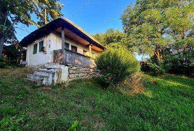 Teren de 3250 mp, în Păușești - 3