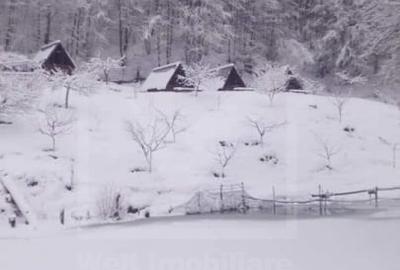 Casa de vacanta, cu lac, 5640 mp teren, Huta, com. Chiuiesti, jud. Cluj Casa de vacanta, cu lac, 5640 mp teren, Huta, com. Chiuiesti, jud. Cluj - 54