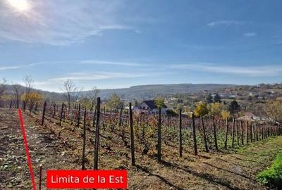 🏡 Teren intravilan 1308 mp Rediu | 9 min (5.8km) Copou / 9 min (5.8km) Pacurari - 2