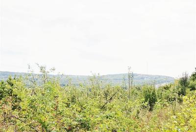 Teren Construcții intravilan de 955 mp, în Bucium - 1