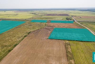 Teren 15Ha cu acces cale ferată - 4