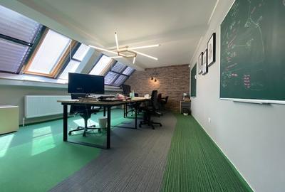 Cismigiu-Mircea Vulcanescu Cismigiu-Mircea Vulcanescu - 7