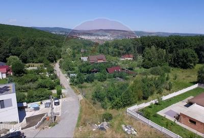 Teren 810 mp Cluj cu PUZ si HCL / Strada D.D. Rosca - 12