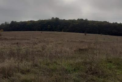 Teren Construcții intravilan de 11300 mp, în Corunca - 1