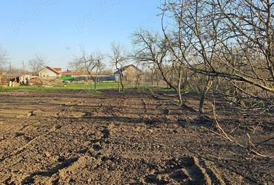 Casă cu 3 camere cu Teren 1088 Mp în Vinga - 1