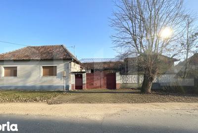 Casă cu 6 camere cu Teren 5000 Mp în Sânmartin