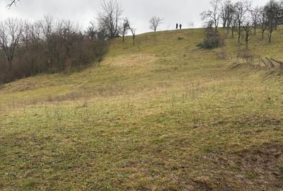 Spațiu comercial, în Șuncuiș - 3