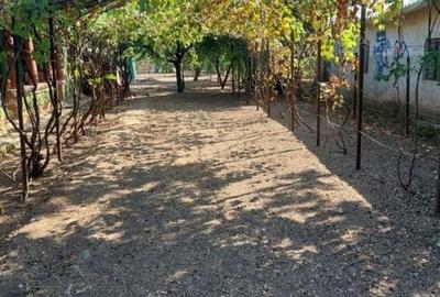 Casă cu 4 camere cu Teren 100 Mp în Rahova - 7