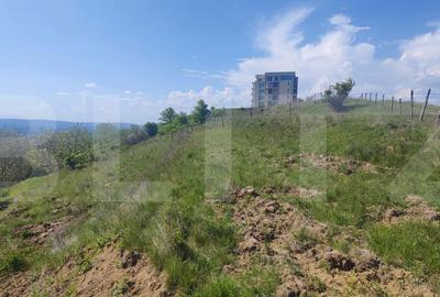 Teren de 15502 mp, în Răzvad - 6