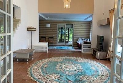 Casă individuală cu 6 camere cu Piscina în Iancu Nicolae - 9