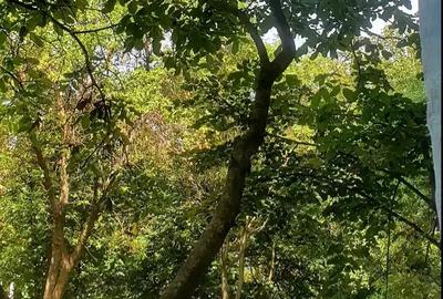 2 camere Drumul Taberei zona Raul Doamnei 25 de secunde distanta de metrou - 1