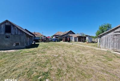 Casă cu 6 camere cu Teren 4728 Mp în Mădăras - 12