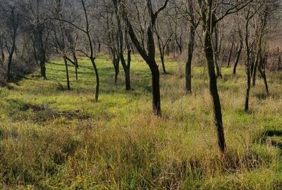 Casă cu 1 camere în Malovăț - 1