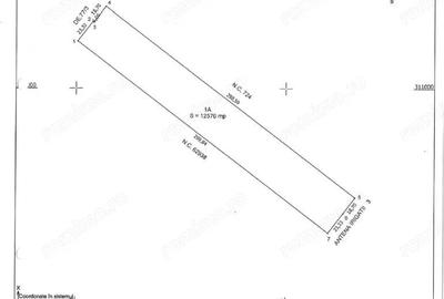 Teren Extravilan In Rate Primaverii Com. Berceni | 12.576mp | #EG41 - 2