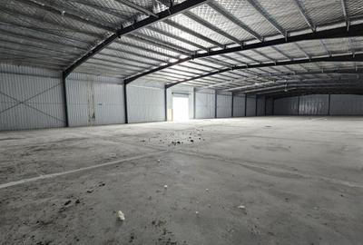 Hale Industriale | DN2 | Afumati-Doraly Expo - 1