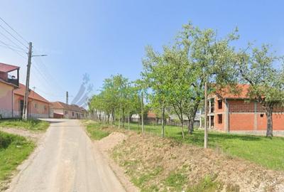 Casă individuală cu 5 camere cu Canalizare în Cresuia - 2