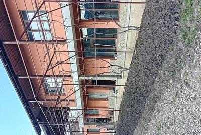 Casă cu Teren 1500 Mp în Târpești - 3