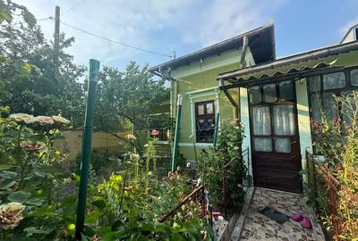 Casa de vanzare comuna Peretu - 4