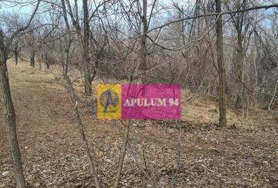 Teren intravilan de vanzare in Cornu de Jos - 5