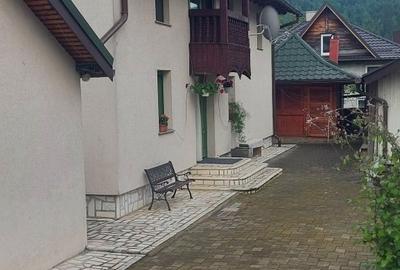 Va aducem spre vanzare o proprietate cocheta, case, foisor si curte - 3