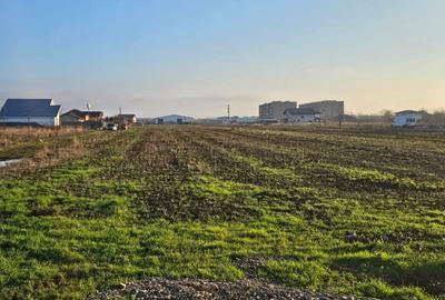 Vanzare teren intravilan Branesti - 6