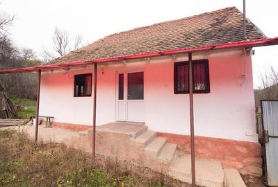 RECO Casa de vacanta la Holod- langa padure- teren 2190mp - 13