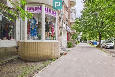 Spa?iu comercial 65 mp cu vad intens zona Podgoria - 8