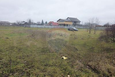 Teren 519mp Dumbrava Rosie / Strada CRANGULUI - 21