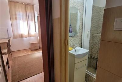 Garsoniera Renovata zona Buziasului - 2