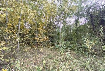 Teren de 3800 mp, în Cornu