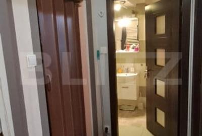 Apartament 2 camere, parter inalt ,zona Porii - 12