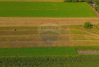 COMISION 0% Teren 3098 mp Brasov / Stupini - 14