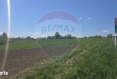 Teren de 9180 mp, în Horodnic - 4