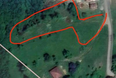 Teren de 3000 mp, în Luncoiu de Sus - 2
